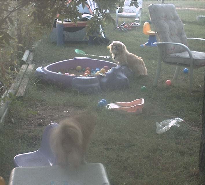 ballpit.jpg