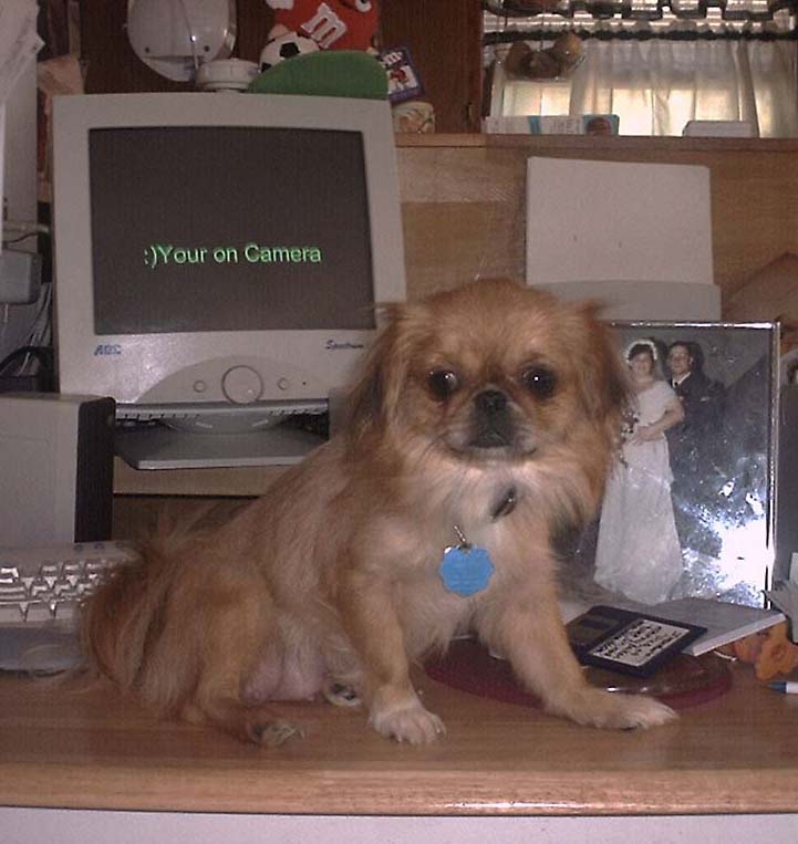 bowscomputer.jpg