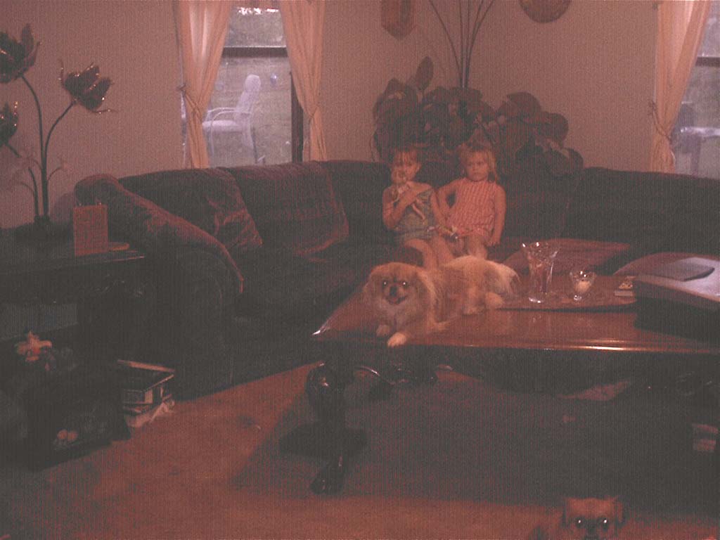 coffeetabledog.jpg
