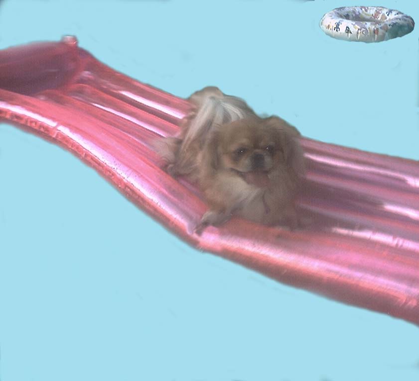swim.jpg