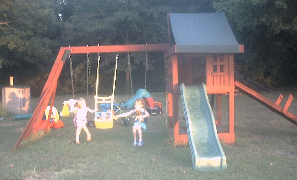 swingdog.jpg