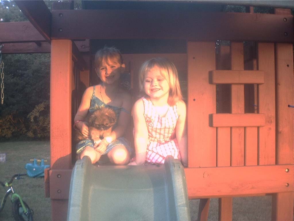 treehouse.jpg
