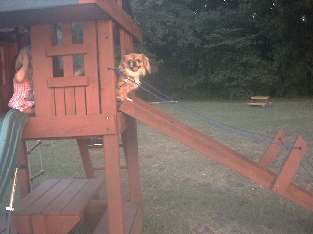treehousecinny.jpg