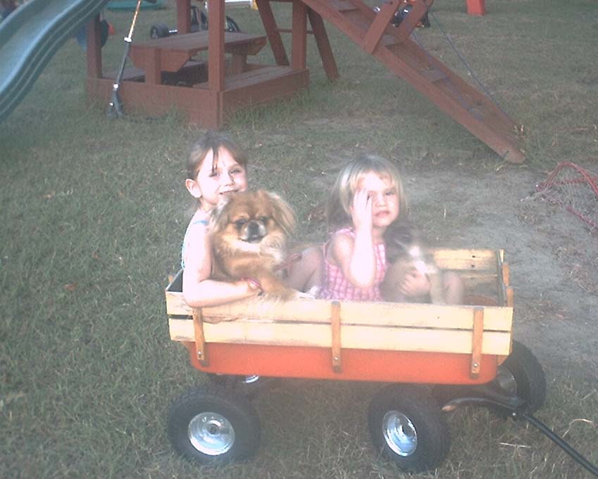 wagon.jpg